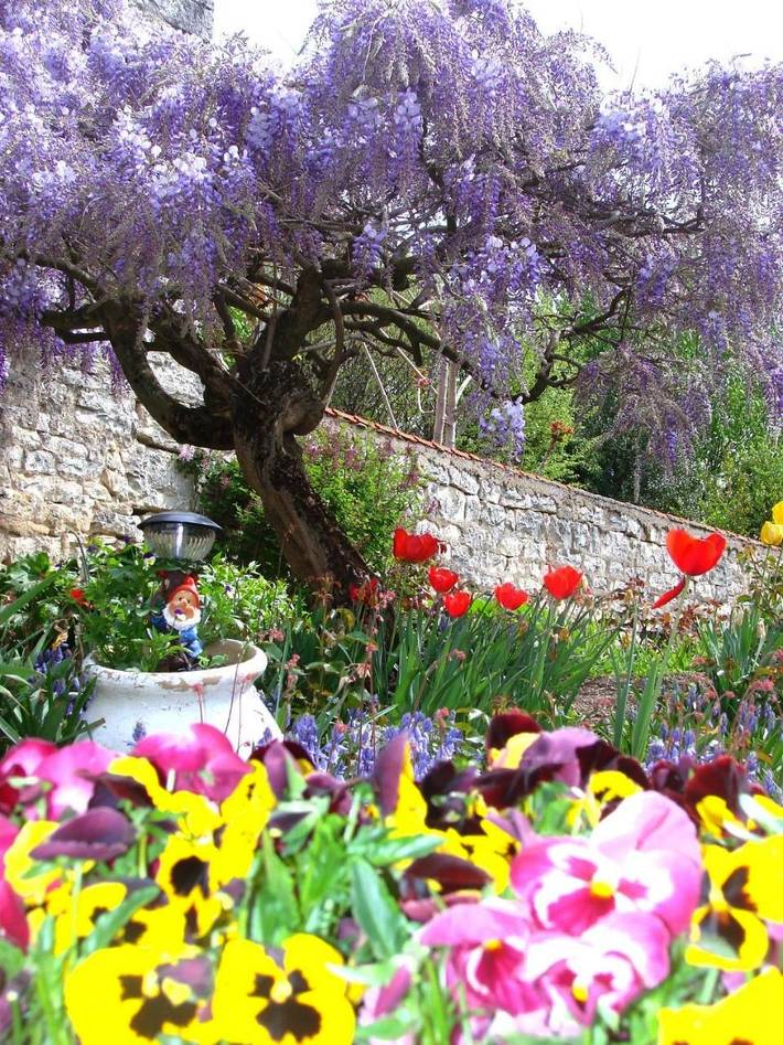 Hôtel pour 4 personnes, avec jardin, animaux acceptés à Chagny - 4