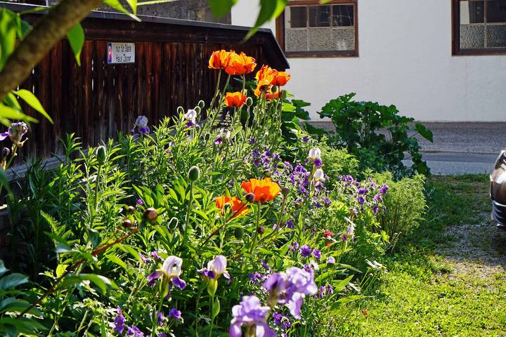 Pension für 2 Personen, mit Balkon und Garten in Reit im Winkl - 4