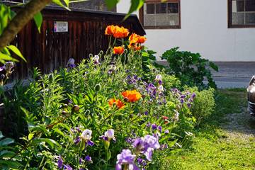 Pension für 2 Personen in Reit im Winkl, Chiemgauer Alpen, Bild 3