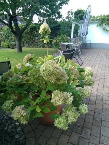 Gîte pour 3 personnes, avec vue et jardin à Billigheim-Ingenheim