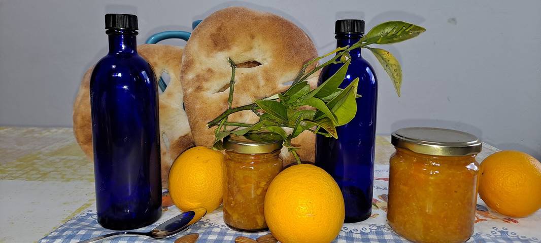 Maison de vacances pour 6 personnes, avec vue et jardin dans les Alpes maritimes - 4