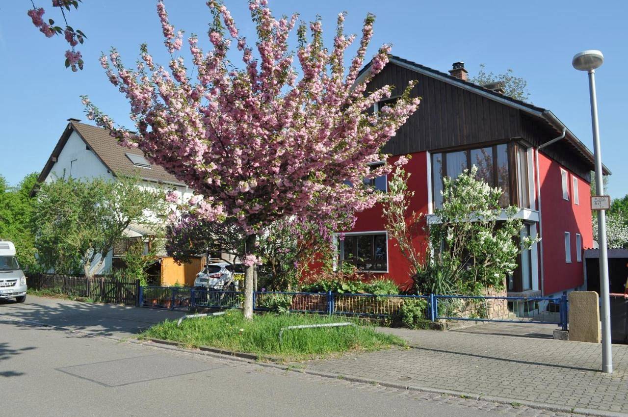 Double Room in Durlach, Karlsruhe