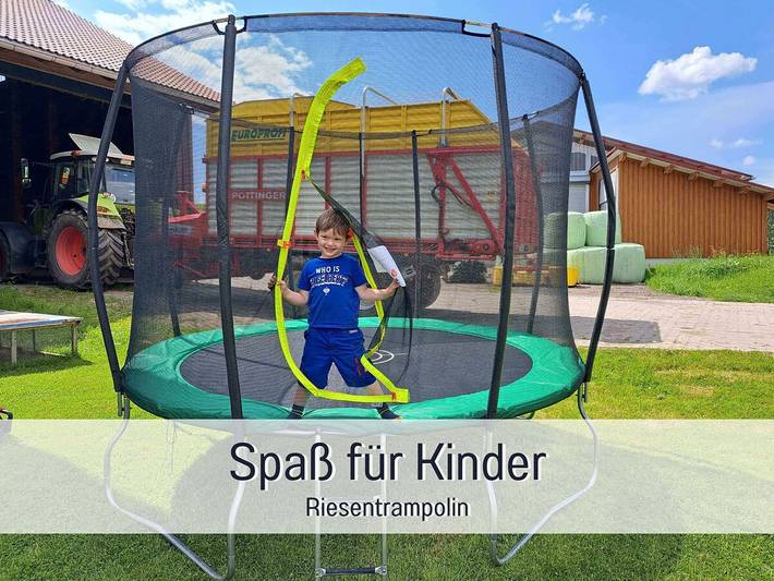 Bauernhof für 4 Personen, mit Garten, kinderfreundlich im Oberallgäu - 4