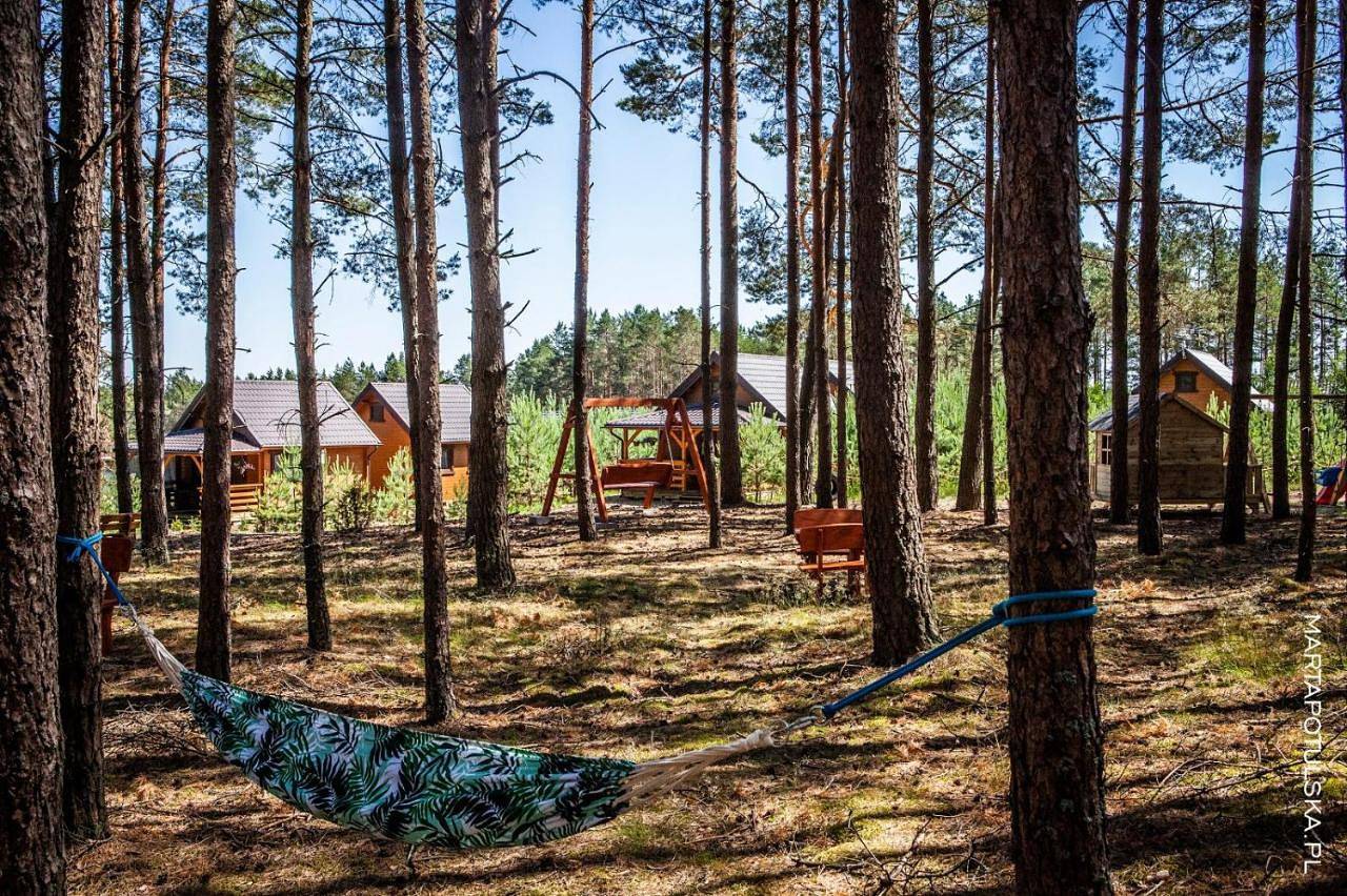 Domki Letniskowe Swornegacie - grill klimatyzacja Wifi monitoring in Bory Tucholskie