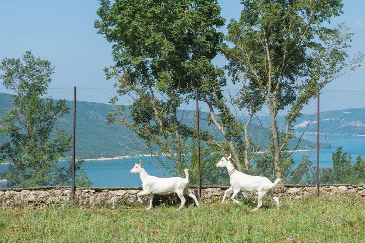 Location de vacances pour 3 personnes, avec vue sur le lac et vue ainsi que jardin et piscine à Aiguines - 4