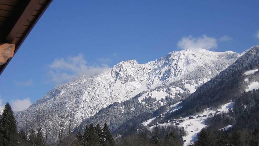 Ferienwohnung für 6 Personen, mit Garten in Vandans - 2