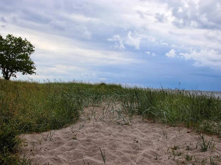 Ferienhaus für 8 Personen, mit Terrasse in Nysted - 3