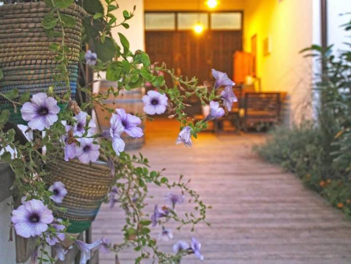 Ferienwohnung für 4 Personen, mit Garten und Sauna in Illmitz - 4