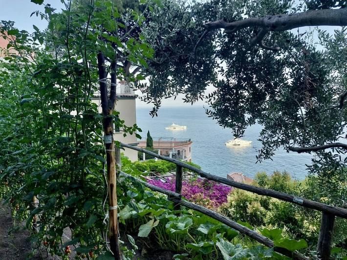 Ganze Wohnung, Haus am Meer mit Terrasse in Atrani in Castiglione, Ravello
