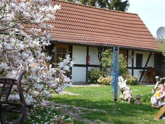 Ganzes Studio, Pension Drews - Ferienzimmer 3 in Weitenhagen (bei Greifswald), Vorpommern Greifswald