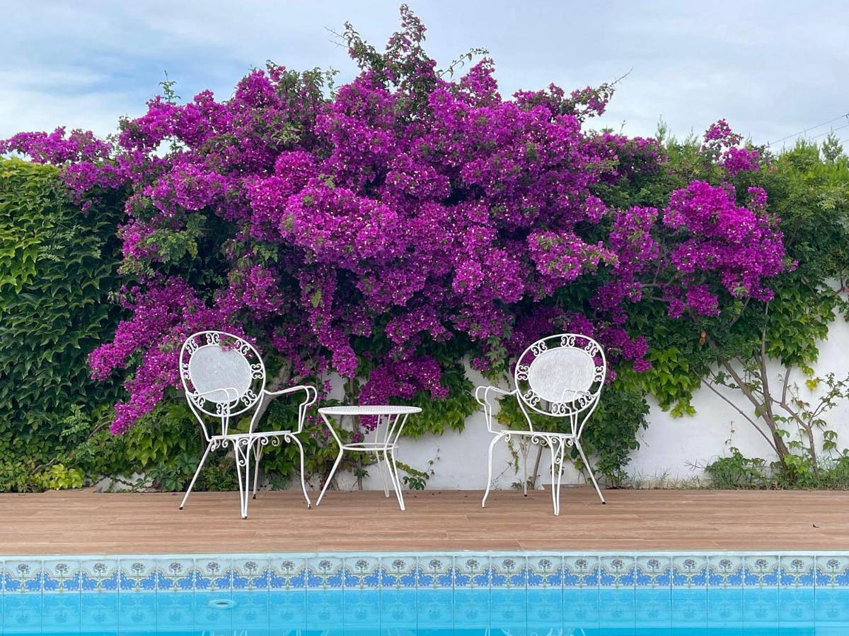 Three-Bedroom Villa in Port de Pollença, Pollença