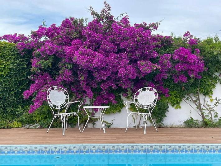 Luxus-finca für 6 Personen, mit Terrasse und Garten sowie Pool und Ausblick in Las Palmeras - 4