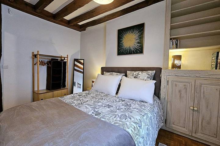 Apartamento entero, L'Odyssée - Charming 1-Bedroom Apt - Sleeps 4 - Historic Center - Pet-Friendly in Orleans, Valle del Loira