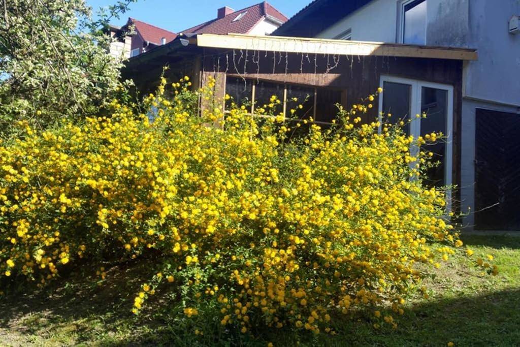 Landhaus Haid in Presseck, Oberes Maintal - Coburger Land