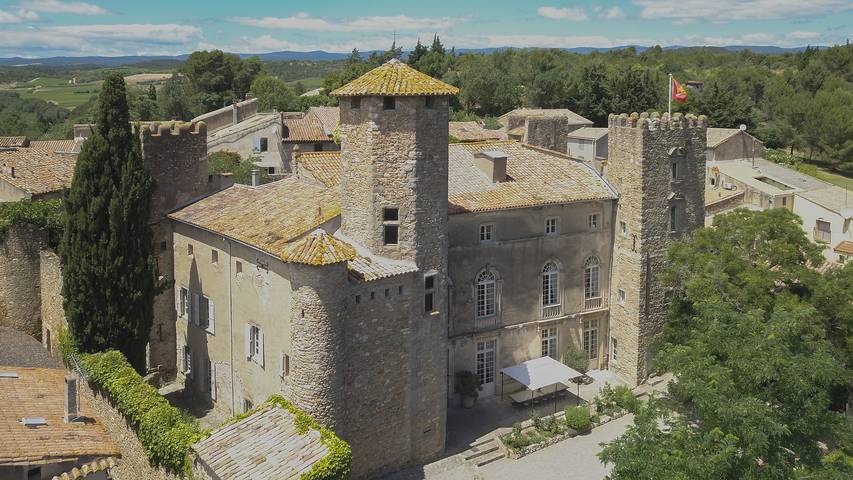 Château pour 18 personnes, avec Terrasse et Jardin dans l' Hérault