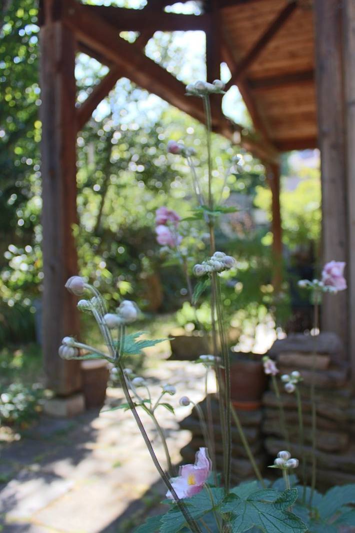 Chambre d’hôte pour 4 personnes, avec jardin en Haute-Loire - 3