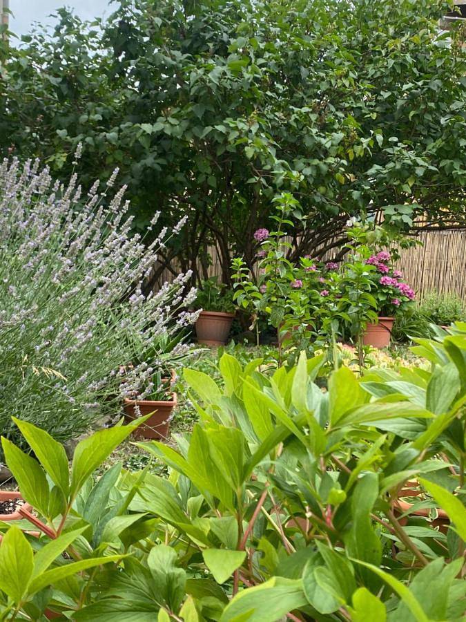 Gîte pour 4 personnes, avec vue à Castiglione dei Pepoli - 2