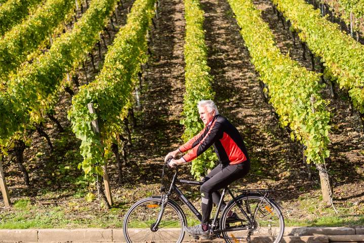 Pension für 2 Personen, mit Garten und Terrasse, kinderfreundlich in Volkach - 3