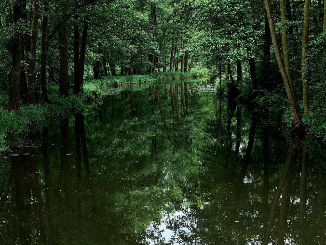 Ganze Ferienwohnung, Ferienwohnung Spreewald pur - Ferienwohnung Spreewald pur in Lübbenau, Oberspreewald-Lausitz