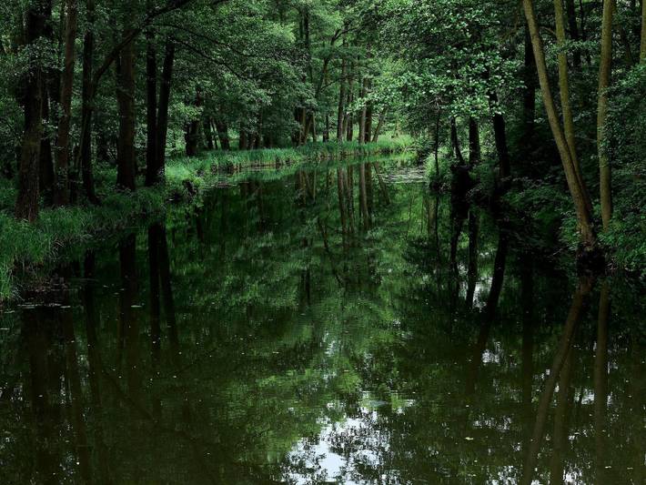 Bauernhof für 4 Personen, mit Terrasse und Garten im Spreewald - 3
