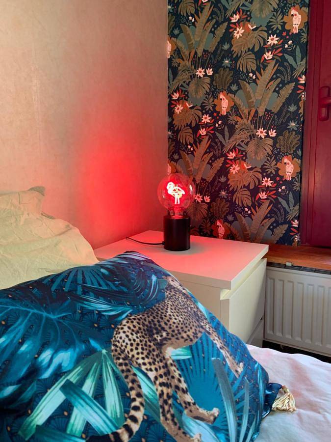Location de vacances pour 10 personnes, avec jardin et vue à Bulson - 4
