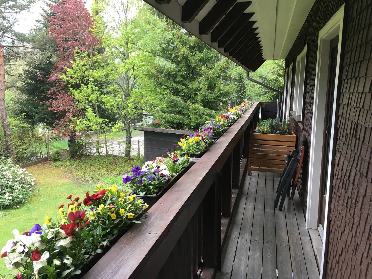 Ganze Wohnung, Fuchs und Has Feldberg – New Opening July 2026 – Apt 3/ Sauna / Garten/ Tv / Wlan in Altglashütten (Feldberg), Feldberg