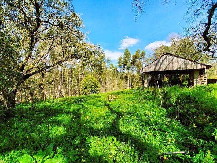 Location de vacances pour 7 personnes, animaux acceptés dans Pombal - 2