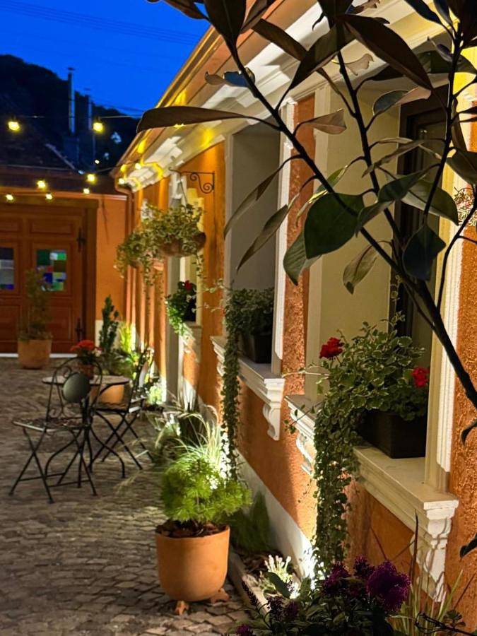 Maison d’hôte pour 2 personnes, avec jardin, animaux acceptés dans Sighișoara - 3