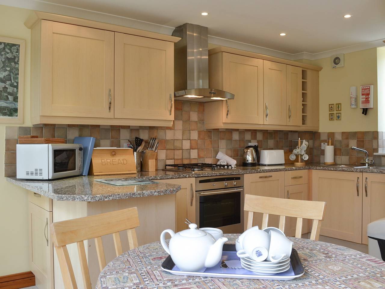 Sea Shells in Cornwall