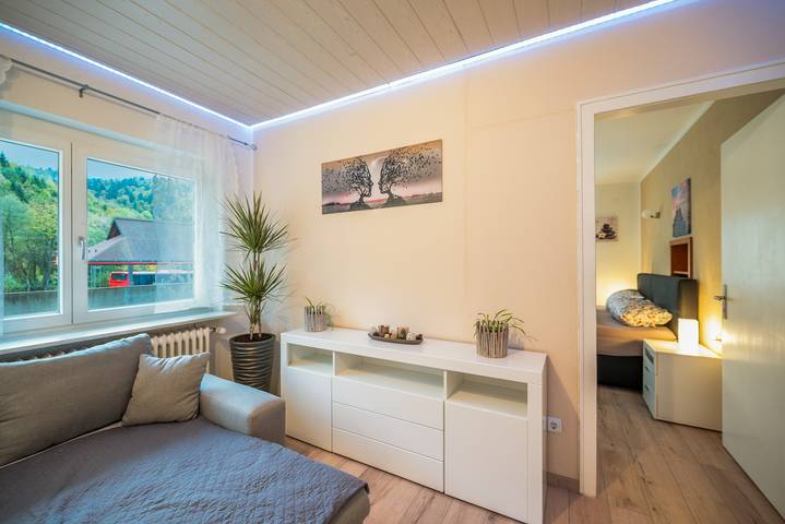 Ganze Wohnung, Ferienwohnung 'Haus Ramos' mit Bergblick, privater Terrasse und WLAN in Todtmoos - Vordertodtmoos, Todtmoos