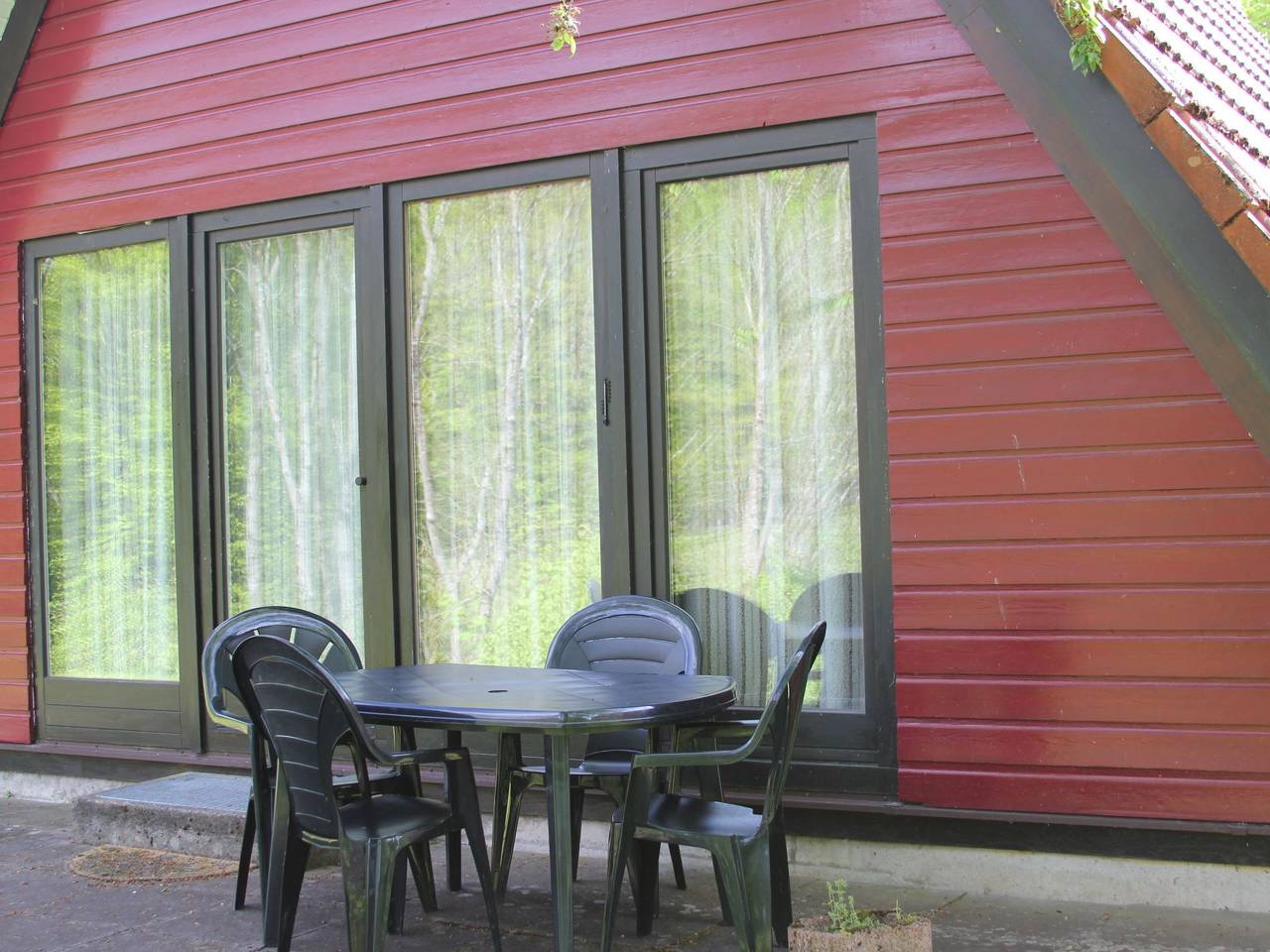 Mohnblume in Machtlos, Ronshausen