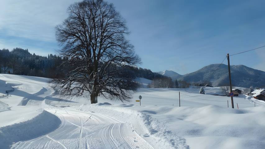 Ganze Wohnung, Ferienwohnung Panorama mit Balkon, Fernsicht und WLAN in Bad Kohlgrub, Bayerische Alpen