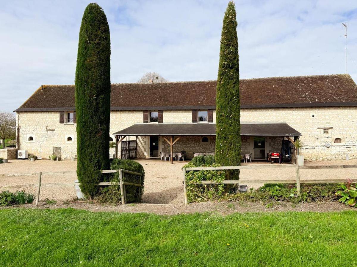 Grande maison, animaux admis - 14 pers. - Fr-1-381-670 in Pouzay, Région de Chinon