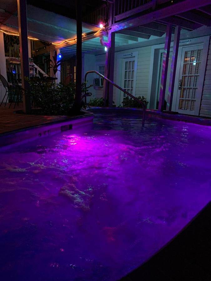 Maison d’hôte pour 4 personnes, avec jardin, animaux acceptés à Key West - 4