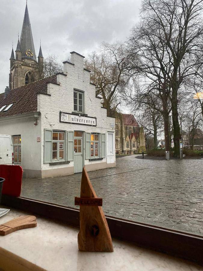 Gîte pour 14 personnes, avec vue, animaux acceptés à Renaix - 4