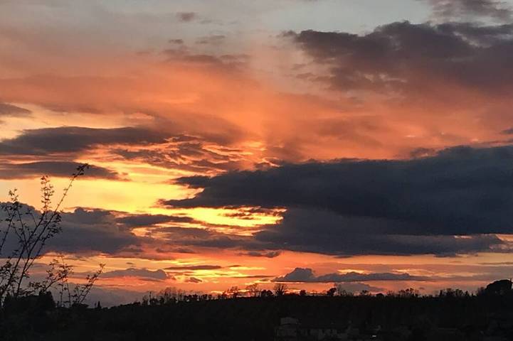 Appartamento per 6 persone, con giardino, con animali domestici in Scandicci