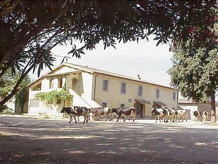 Appartamento per 2 persone, con Terrazza e Giardino nonché Piscina e Panorama a Orte