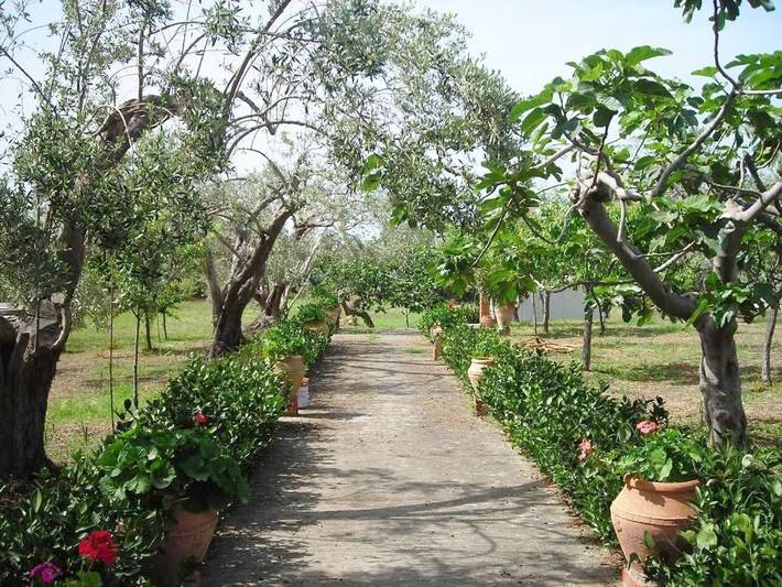 Rustico per 4 persone, con Giardino in Provincia di Messina