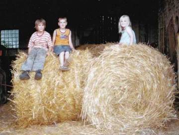 Bauernhof für 4 Personen in Vöhl, Waldecker Land, Bild 2
