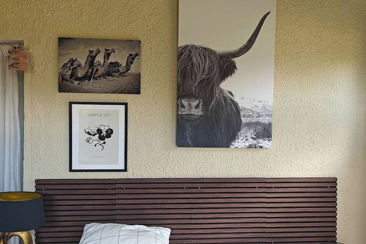 Location de vacances pour 8 personnes, avec balcon ainsi que jardin et piscine à Torroella de Fluvià - 4