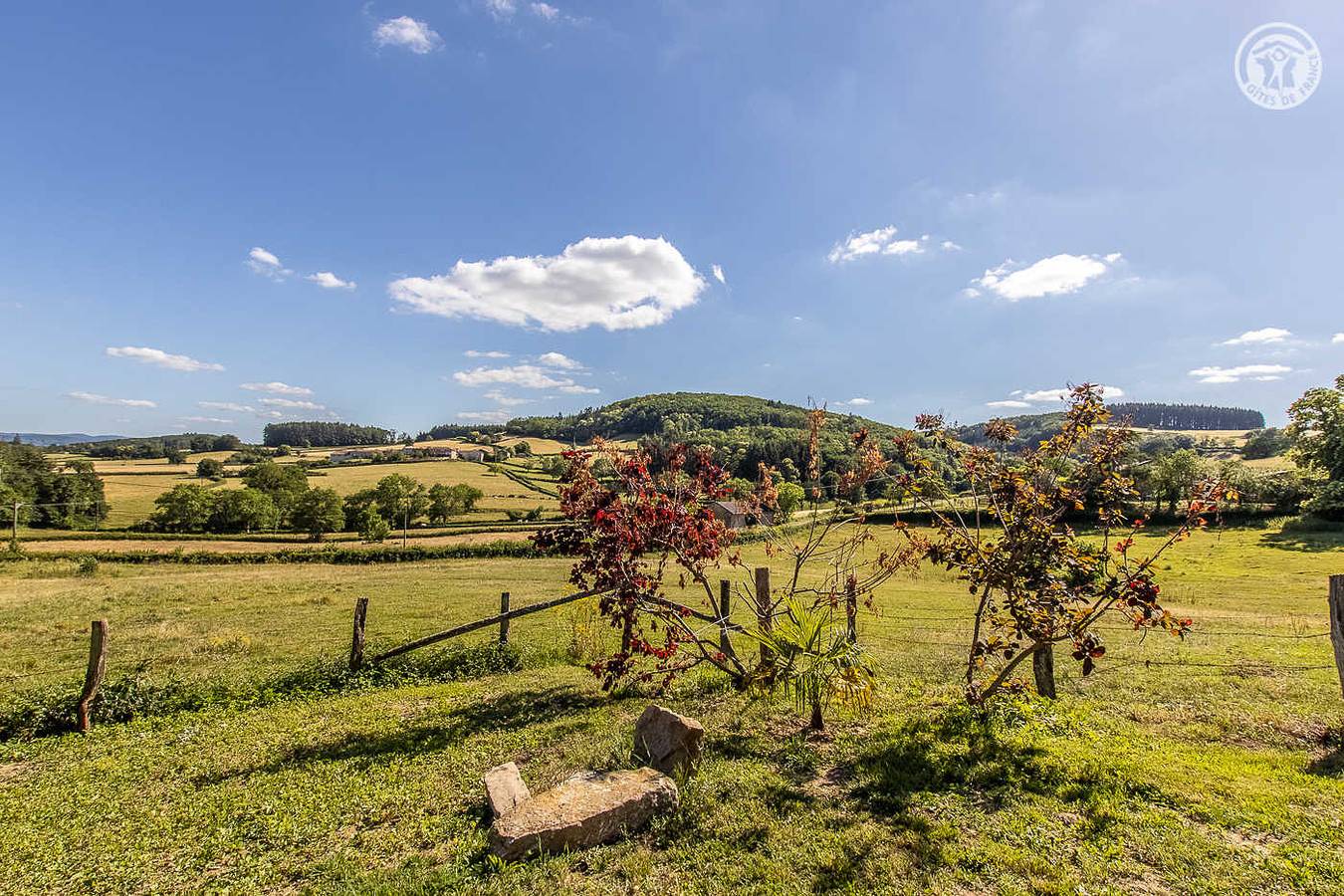 Le Chêne Maréchal in Montagny-sur-Grosne, Mâcon e dintorni