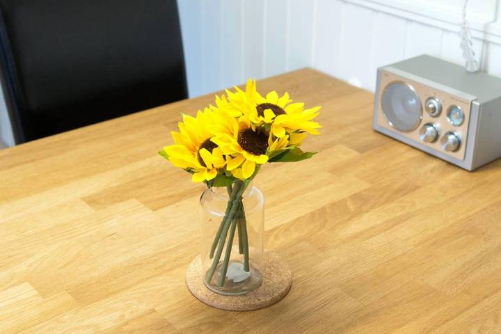 Ferienhaus für 4 Personen, mit Garten, mit Haustier in Norden-Norddeich - 2