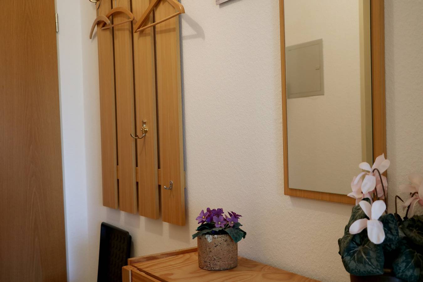 Ganze Ferienwohnung, Schwarzwald Nest in Feldberg, Südschwarzwald