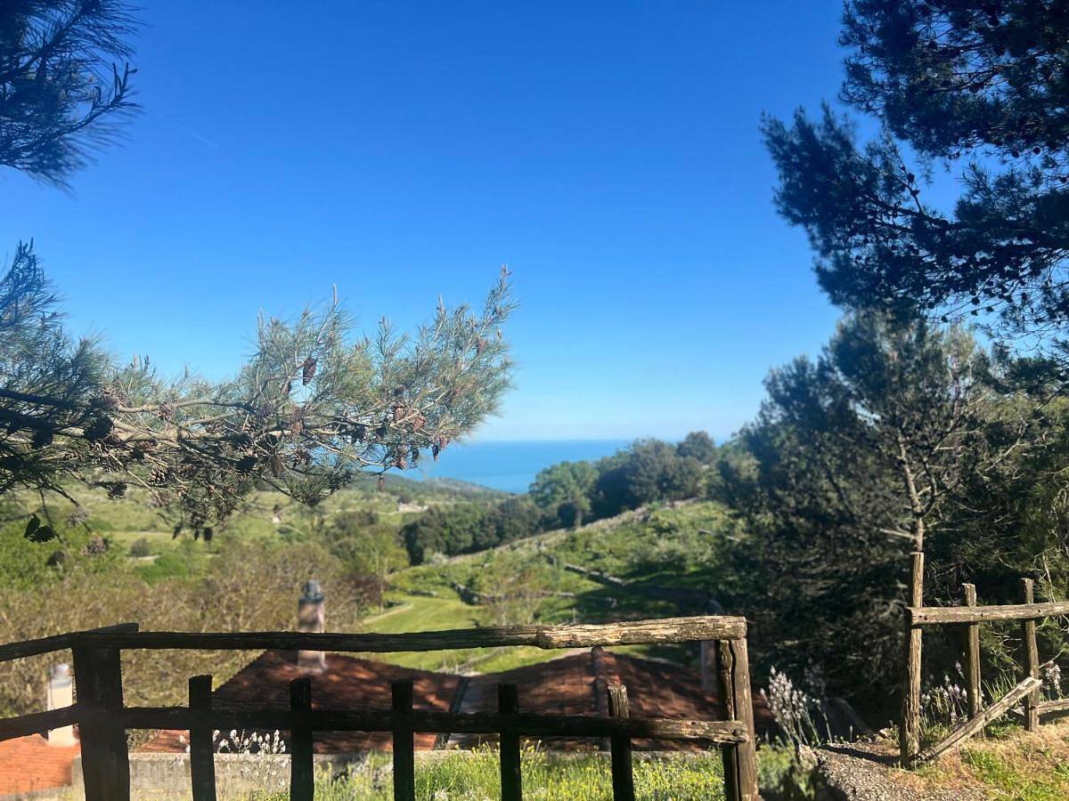 Agriturismo Monte Sacro in Mattinata, Gargano
