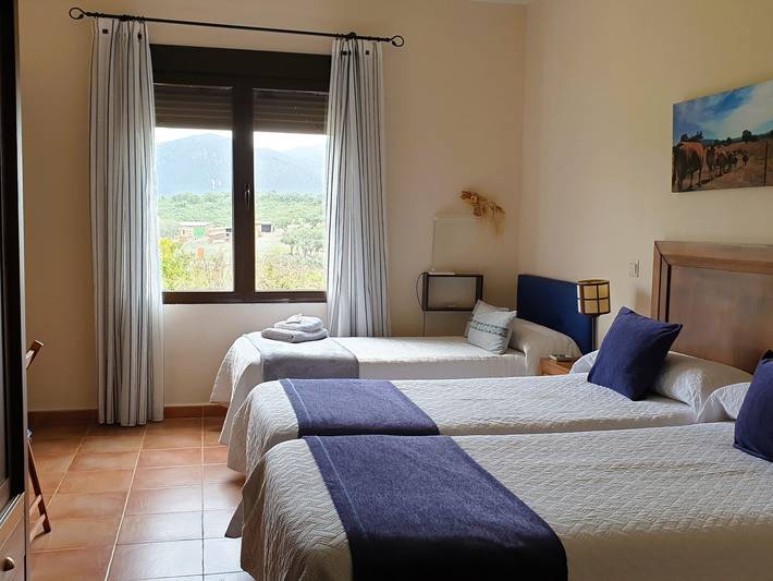 Casa rural para 6 personas, con Balcón y Terraza además de Jardín y Piscina en Horcajo de los Montes - 3