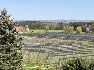Chalet voor 2 Personen in Friedrichshafen, Baden-Württemberg, Afbeelding 2