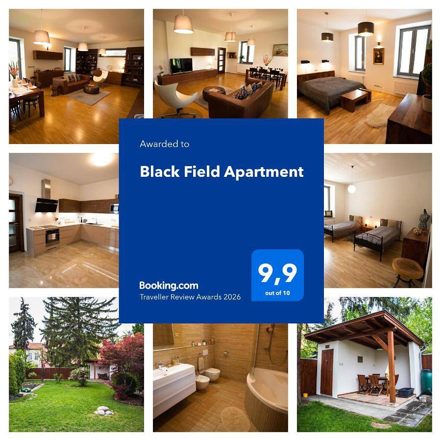 Appartement entier, Black Field Apartment in Brno, Région de Moravie-du-Sud