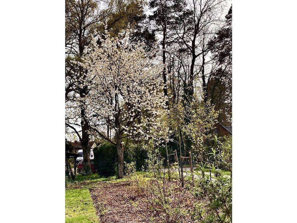 Ganze Wohnung, Lütt Heidjer Hus in Buchholz in der Nordheide, Nordheide