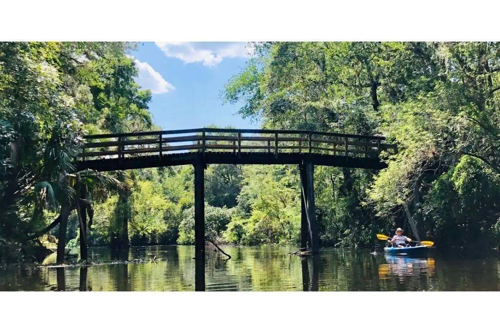 3brm/King*Gameroom*near Bush Gardens, Usf& Moffitt in Tampa, Tampa Bay