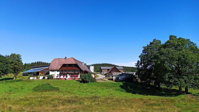 Ferienwohnung für 4 Personen, mit Garten, mit Haustier in Sankt Georgen im Schwarzwald